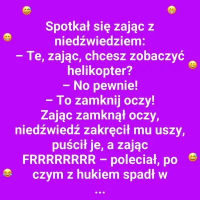 Gdy Zając Zostaje Pilotem