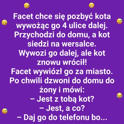 Gdzie kot, tam dom