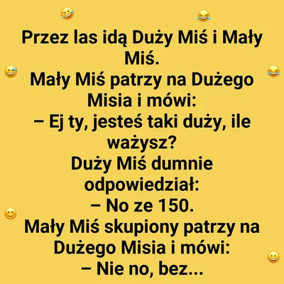Ile waży duży miś