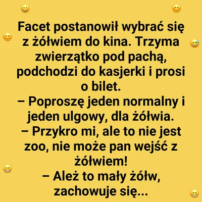 Kino z żółwiem