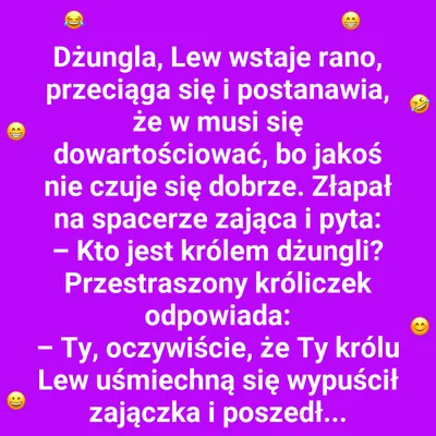Kto rządzi w dżungli?
