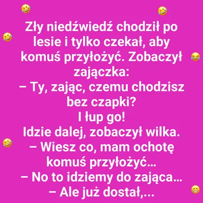 Leśne Perypetie: Gdy Niedźwiedź Ma Zły Dzień