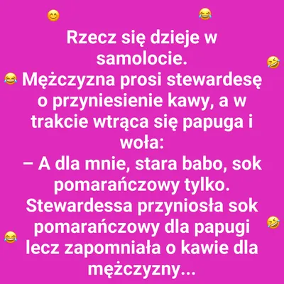 Papuga uczy odwagi – z przestrogą