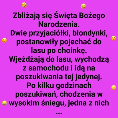 Świąteczna wyprawa