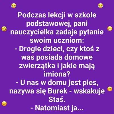Zwierzęta domowe